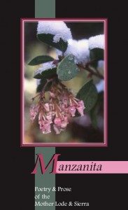 Manzanita volume 4 Front cover